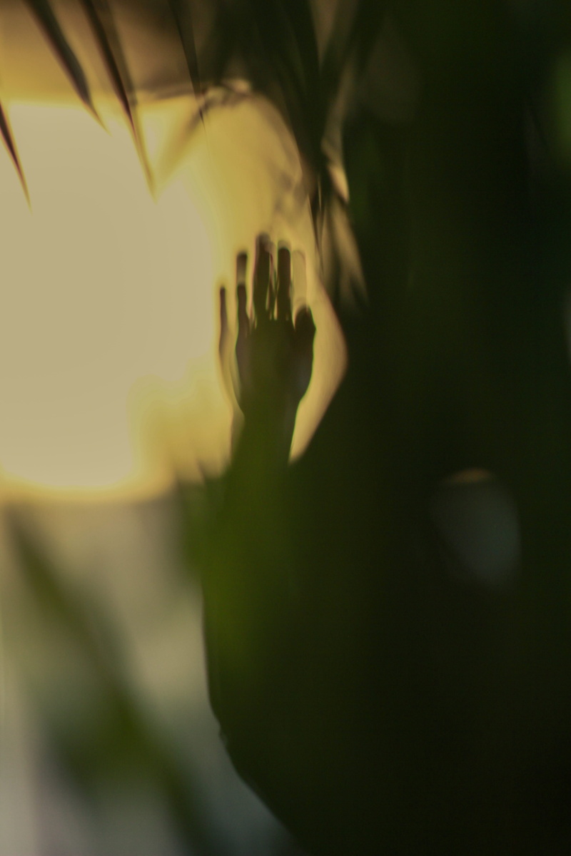finger, leisure activity, raising, unrecognizable person, light, nature, selective focus, close-up, reach, help, human hand, wrist, one person, dark, person