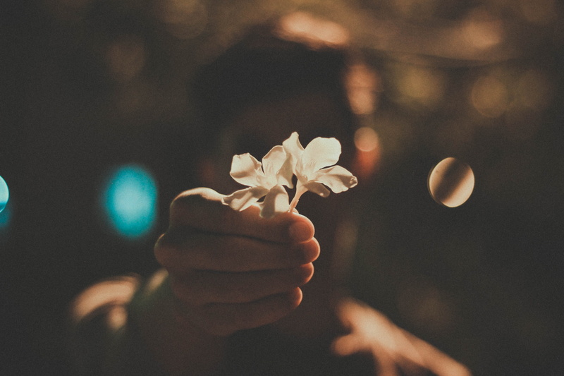 celebration, tree, shadow, forest, women, light, human body part, focus on foreground, bokeh, 5K, holding, night, person, lifestyles, unrecognizable person