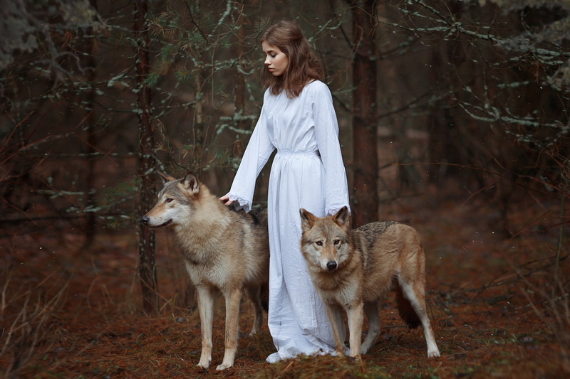 girl, wolves, 1080P, forest, Svetlana Nicotine