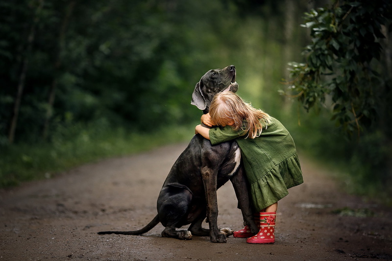 boots, child, girl, dress, Svetlana Shelemeteva, 1080P, baby, hugs, dog, nature