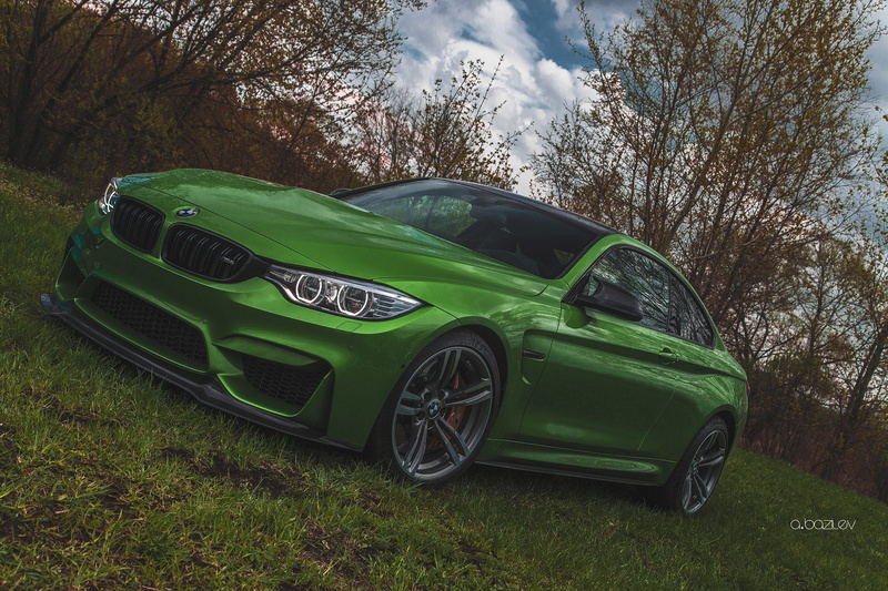 plant, motor vehicle, land vehicle, car, stationary, Alexander Bazylev, green, BMW, 2K, auto, lights, nature, land, Alexander Bazilev, green color, Alex Bazilev