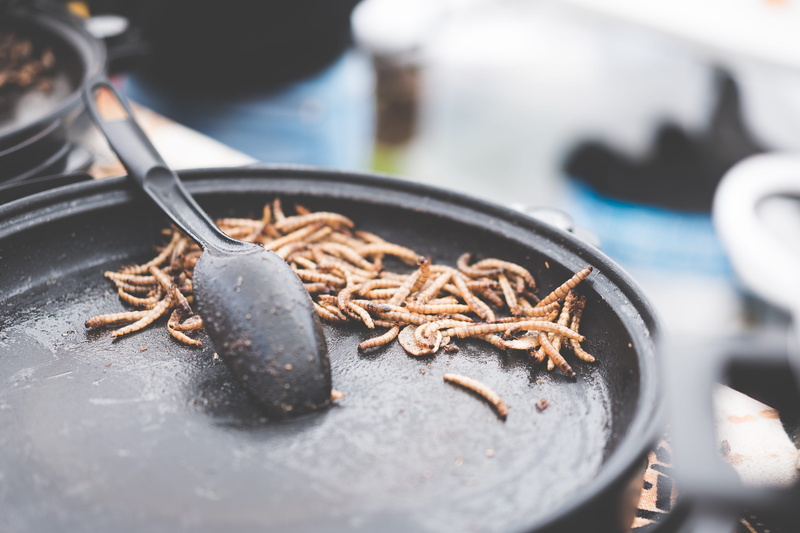 seafood, 4K, animal, foodie, business, Fried, cooking, no people, plate, Caterpillars, insects, market, wellbeing, focus on foreground, gourmet, Asian