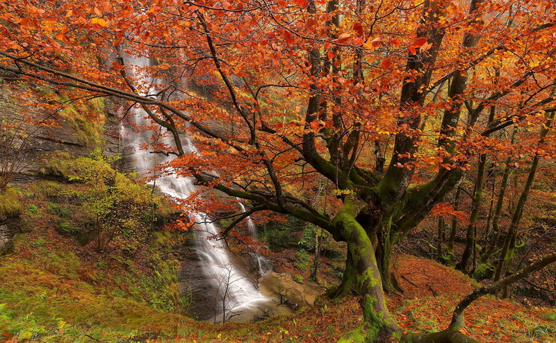 1080P, forest, Gorbea Natural Park, autumn, Bizkaia, Basque Country, Uguna Waterfall, waterfall, The Gorbea natural Park, trees, Biscay, Spain