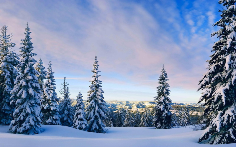 sky, hd, seasons, pine, nature, mountains, snow, hills, winter, 1080P, pictures, clouds, trees, forests, white, cold, landscapes