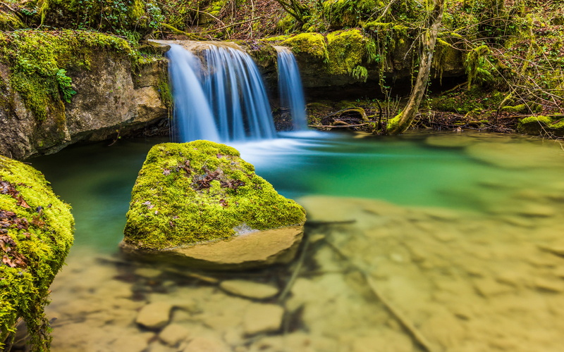 moss, forest, flowing water, nature, stream - flowing water, phones, scenics - nature, plant, small, power in nature, flowing, beauty in nature