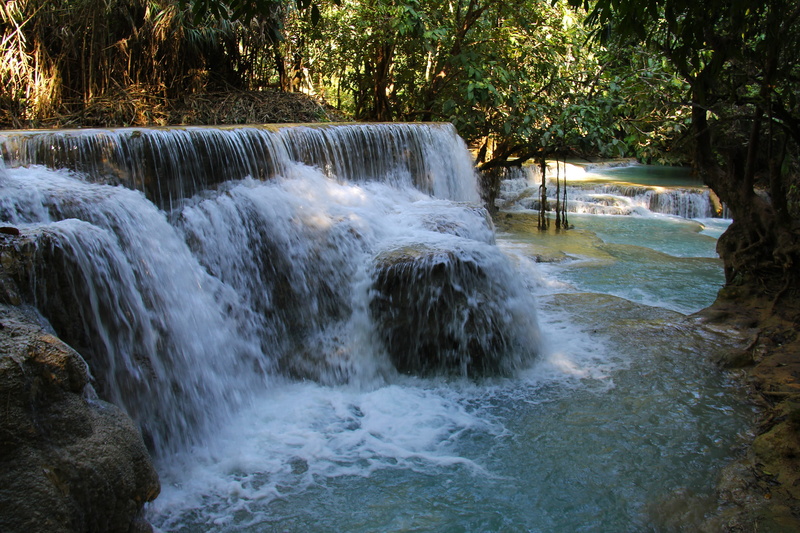 plant, kuang si waterfall, water, turquoise water, waterfall, forest, kuang si falls, nature, no people, rainforest, river, Luang Prabang, flowing water
