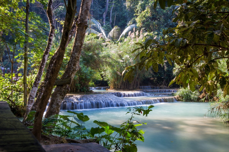 springs, luang prabang, nature, sunlight, beauty in nature, environment, photo, outdoors, prabang, kuang si falls, growth, 1080P, tranquility, forest