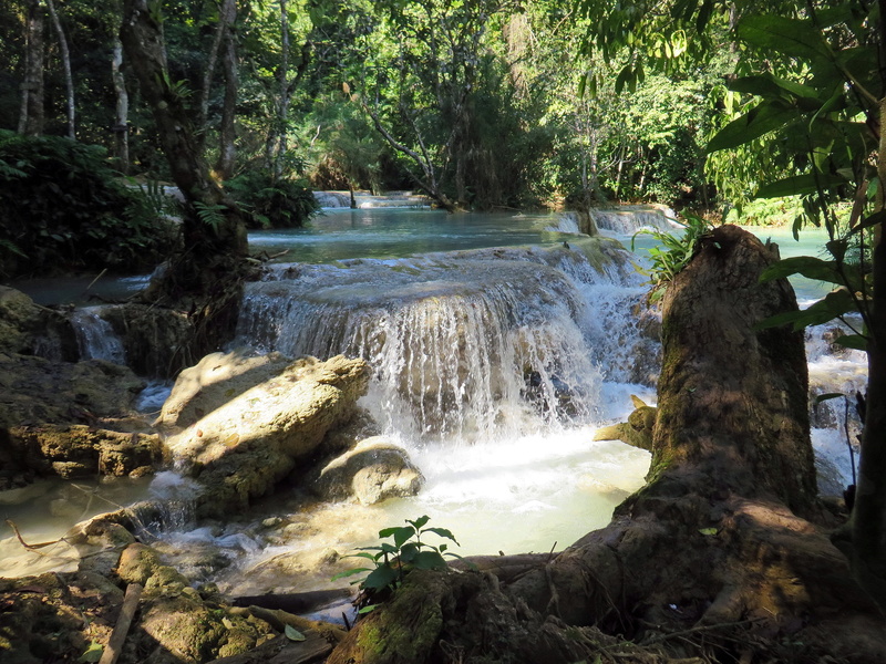 long exposure, tree, 4K, beauty in nature, power in nature, kuang if, scenics, land, waterfall, scenics - nature, growth, rock, solid, no people, flowing water