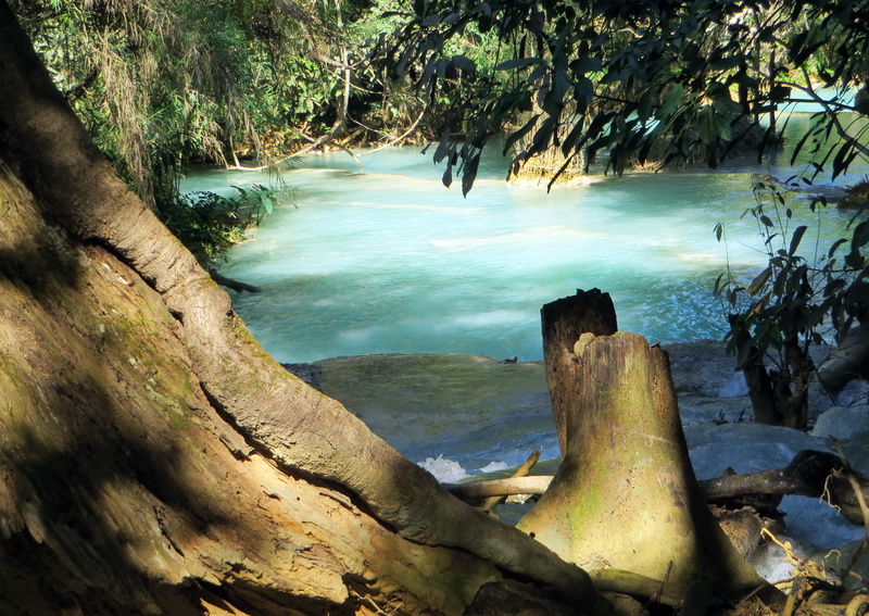 creek, wood, lake, trunk, laos, sky, tree trunk, near, water courses, close-up, kuang if, tranquility, driftwood, land, basin, outdoors, scenics - nature