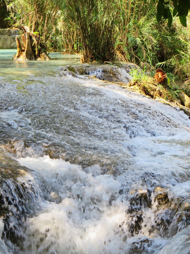creek, aquatic sport, flowing water, solid, river, motion, land, sport, rock - object, day, no people, cascade, outdoors, forest, sea, laos, basin, tree