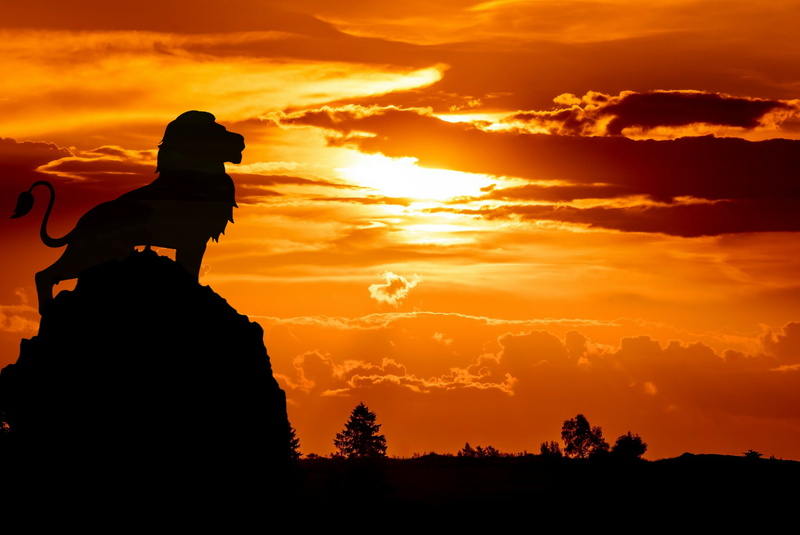 scenics - nature, crag, women, cloud - sky, sky, one person, evening, sitting, king, 2K, predator, wildlife, leisure activity, sundown, tranquility, standing