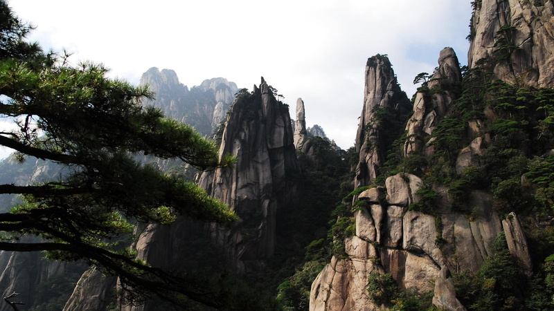 magical, crags, cliffs, treed, clifffs, trees, 1080P, nature and landscapes, mist