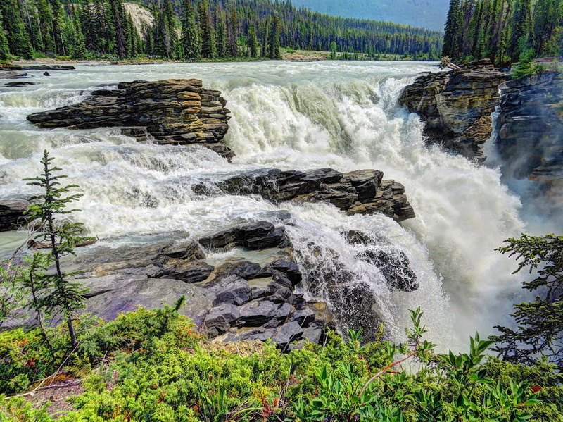 waterfall, crag, usa, athabasca, falls, jasper, forest, nature, parks, 1080P