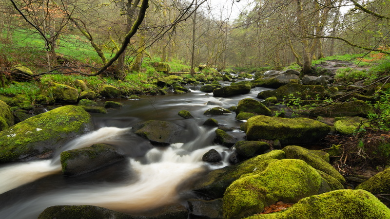 streams, moss, no people, england, tree, rock, water, outdoors, forest, stream - flowing water, beautiful, plant, desktop, flowing, background, surrounded