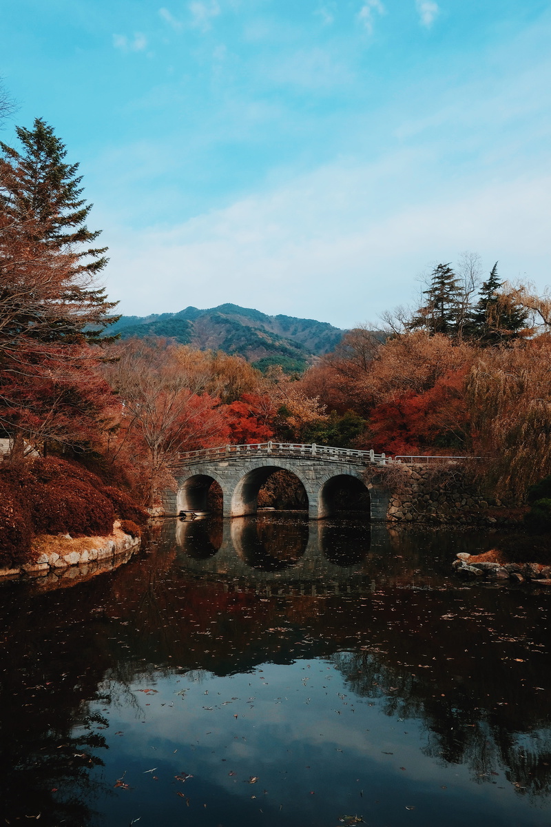 tree, water, river, bridge, plant, forest, autumn, day, tranquil scene, mountain, outdoors, built structure, lake, 5K, flowing water, korea, gyeongju-si
