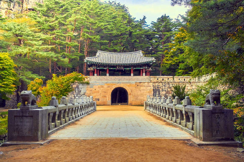 nature, plant, korea, the way forward, belief, outdoors, arch, travel, 5K, tree, direction, travel destinations, gate, place of worship, religion, mungyeong-si