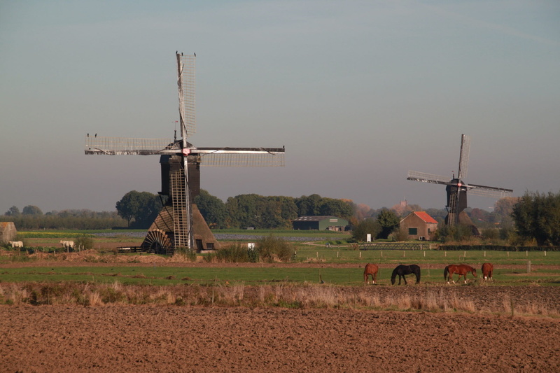 turbine, no people, wind power, military, sky, land, renewable energy, netherlands, wicks, Nature, environmental conservation, field, farm, day, Dutch