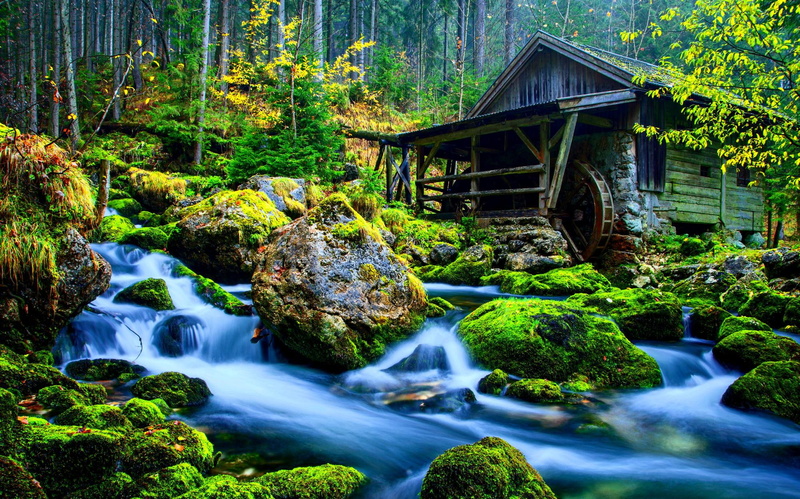 water, rocks, beautiful, forest, green, river, trees, 1080P, waterfalls, nature and lands, old, nature, mill, falls