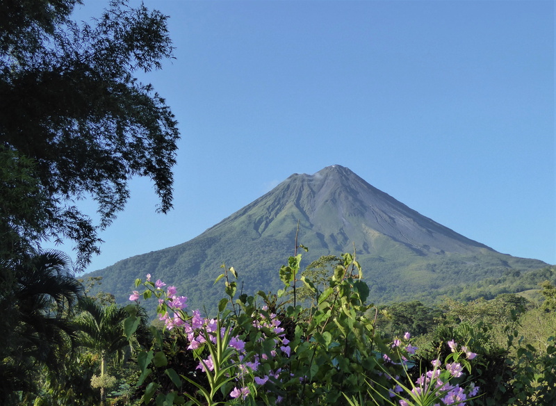 central america, flowering plant, tranquility, growth, nature, costa rica, non-urban scene, flower, sky, tranquil scene, arenal, tree, landscape, mountain