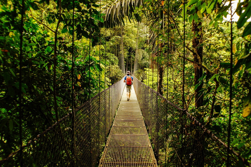 leisure activity, tree, growth, direction, plant, one person, footbridge, arenal volcano, land, day, forest, travel, bridge - man made structure, diminishing perspective