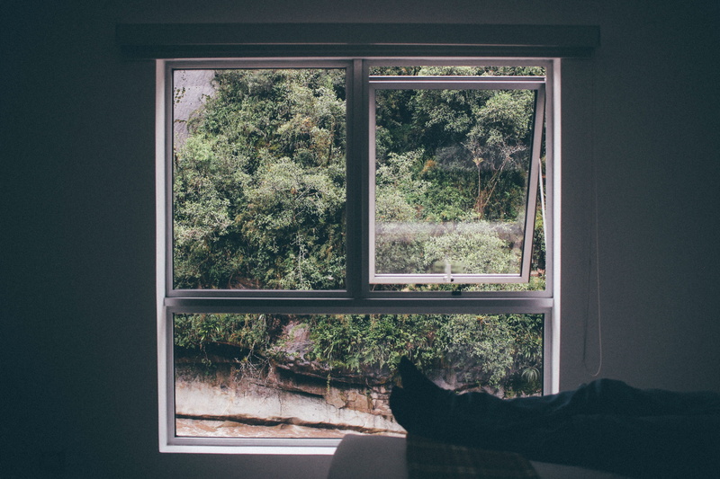 interior, window view, sash, window, sunlight, building, open, forest, 5K, white, nature, glass - material, transparent, built structure, looking out window