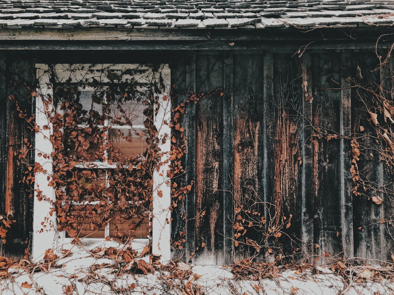 outdoors, run-down, sash, deterioration, building exterior, ruined, leaves, old, abandoned, bad condition, wooden, door, 4K, white, weathered, entrance