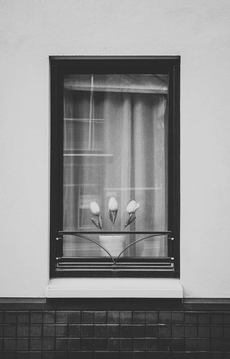 no people, street, glass, building, built structure, wall - building feature, architecture, day, window sill, building exterior, low angle view, glass - material