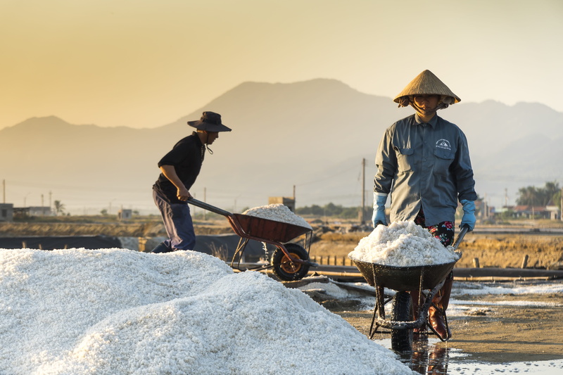 stacking, people, workers manually, the hat, pushing, mountain range, ao, bring, flat, working, photography, social issues, dawn, sunshine, conical leaf hat
