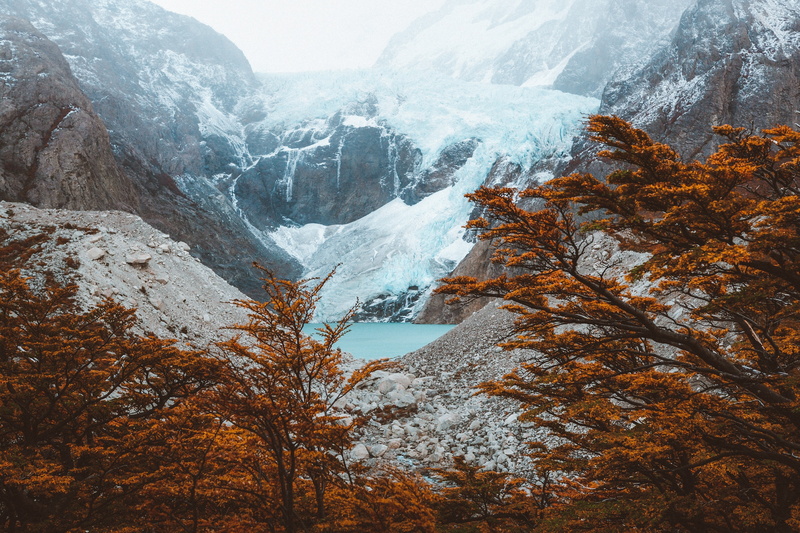 Lake, snow, Argentina, winter, El chalten, frozen, environment, snowcapped mountain, outdoors, tranquility, Mountains, Trees, land, tranquil scene, no people