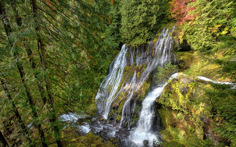 cascada, 1080P, selva, naturaleza