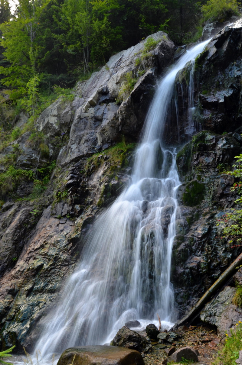 flowing, nature, varciorog waterfall, solid, 4K, power in nature, motion, non-urban scene, forest, long exposure, flowing water, the apuseni mountains