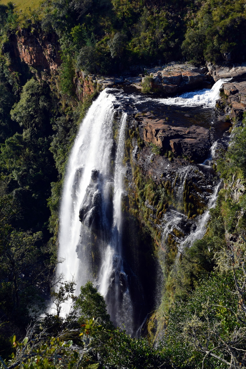 environment, power in nature, nature, long exposure, aqua, outdoors, flowing, forest, graskop, rock - object, 5K, tree, water, lisbon falls, scenics - nature