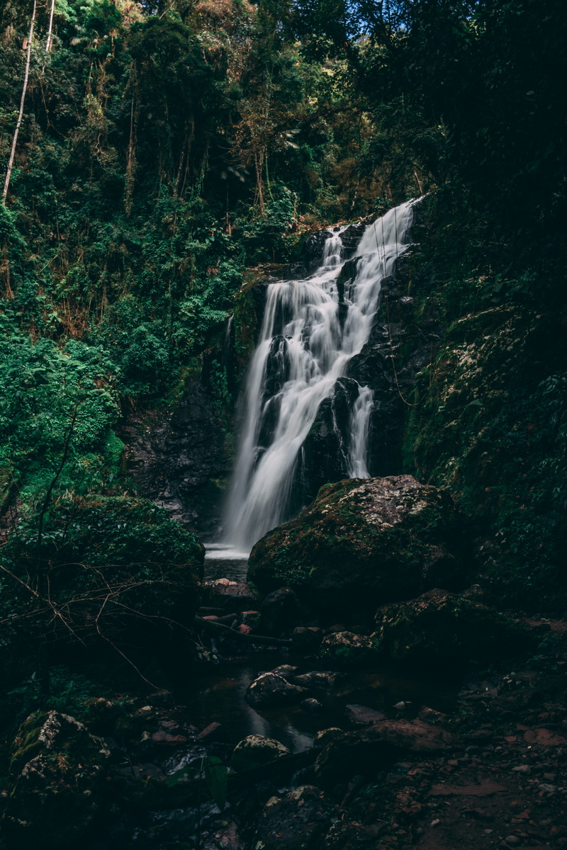 stream, rock, middle, environment, vegetación, day, nature, salto de agua, land, flowing, long exposure, scenics - nature, mountain, trees, waterfalls