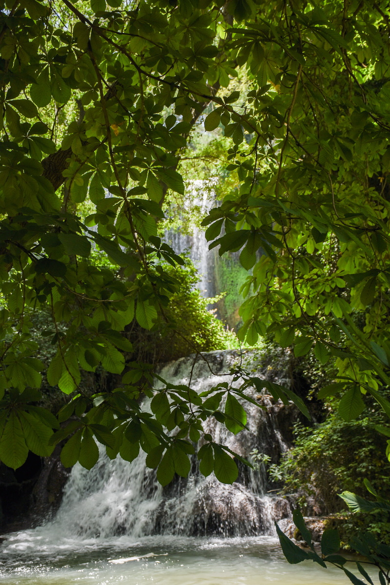 green color, leaf, land, nature, power in nature, tree, verde, cascadas, no people, plant part, flowing, scenics - nature, growth, aragón, plant, waterfall