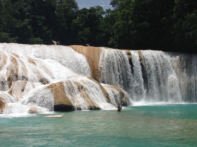 agua azul, flowing, plant, day, sea, waterfalls, land, surrounded, cascadas, flowing water, waterfall, power in nature, water, no people, exotic waterfalls