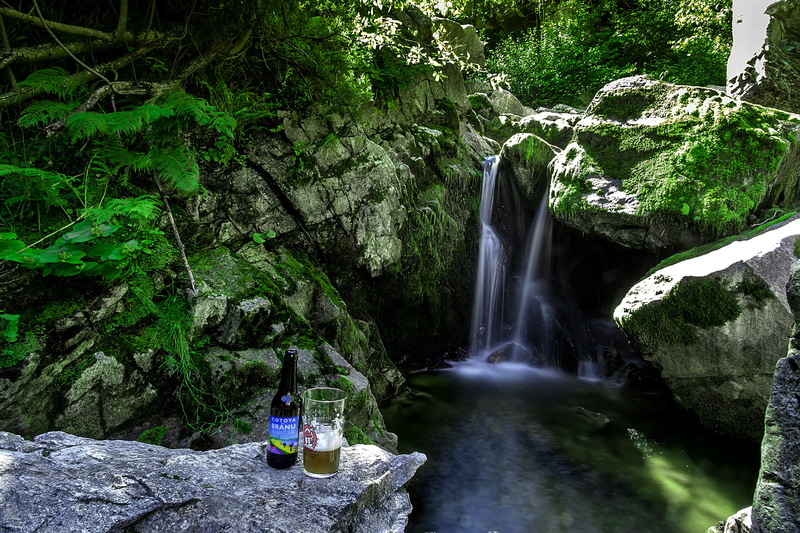 plant, scenics, nature, outdoors, de, leaf, Caso, green, waterfalls, Cerveza, Asturies, mountain, tree, river, Beer, waterfall, Asturias, 5K, beside, green leaf