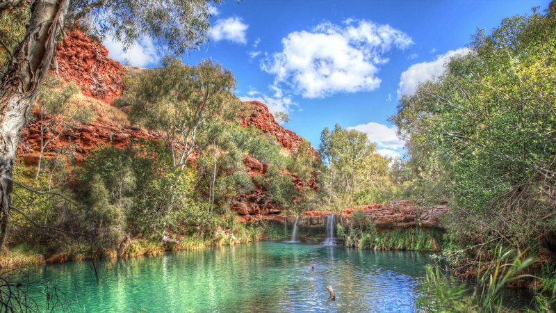 naturaleza, paisaje, bosque, rio, 2K