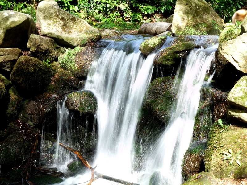 nature, no people, waterfall, long exposure, plant, solid, power in nature, forest, rock, flowing, scenics - nature, falling water, beauty in nature, dray nur waterfall