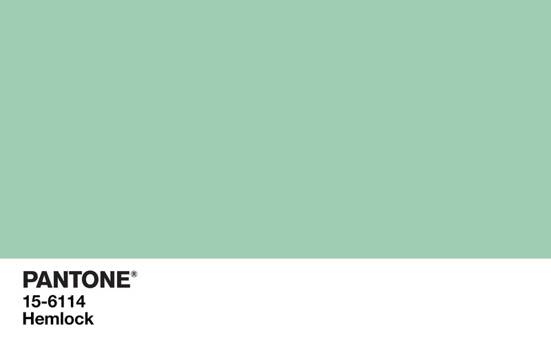 cut out, studio shot, text, copy space, communication, no people, paper, indoors, western script, color codes, green color, minimalism, colorful, 1080P