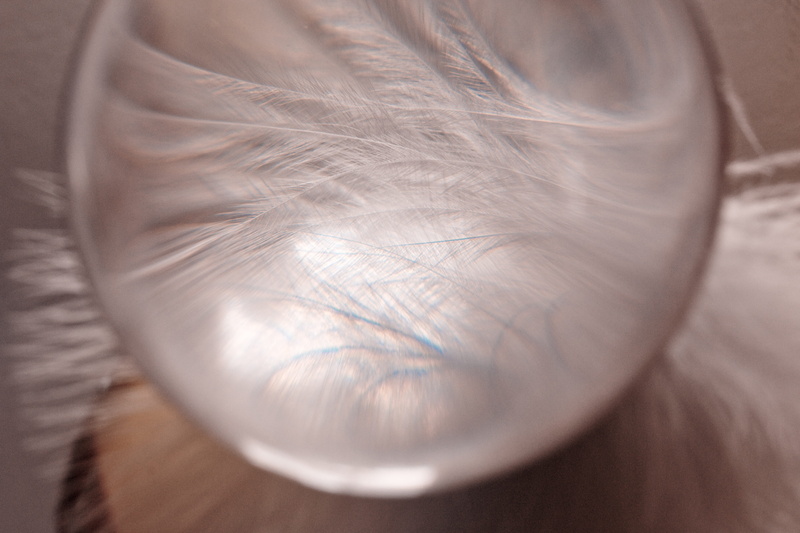 lightweight, nahaufmahme, beautiful woman, eye, untitled, background, one person, human skin, adult, softness, human eye, extreme close-up, human body part