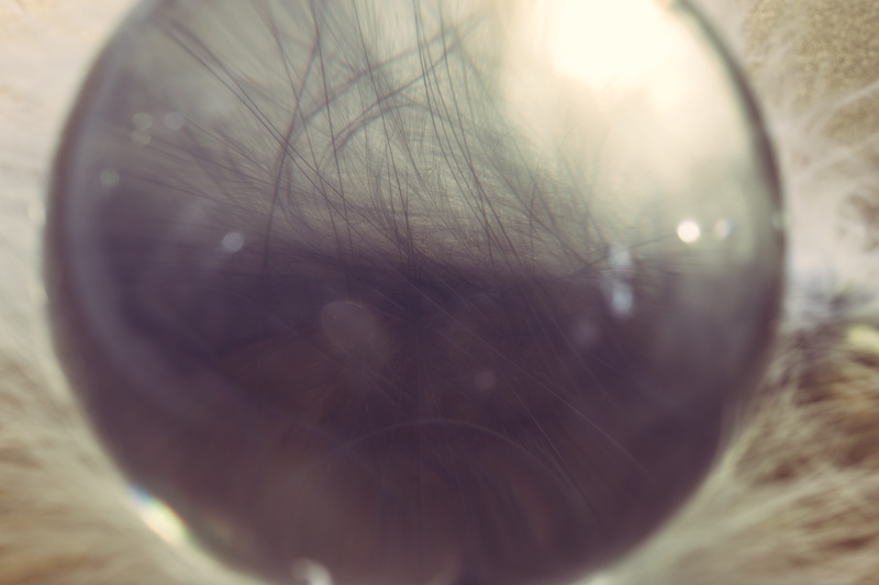 eyelash, eyesight, fluffy, iris - eye, nahaufmahme, creative, outdoors, human body part, slightly, contemplation, nature, extreme close-up, looking, glass ball