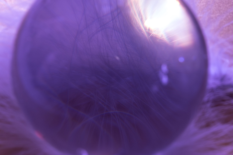 eyesight, nahaufmahme, fluffy, body part, bird feather, eyelash, human eye, microbiology, purple, iris - eye, creative, glass ball, spring dress, biology