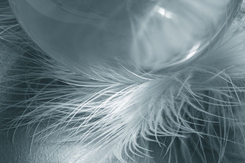 textured, close-up, featherweight, motion, spring dress, freshness, closeup, lightweight, blue, feathers, photo, indoors, bird feather, background, textured effect