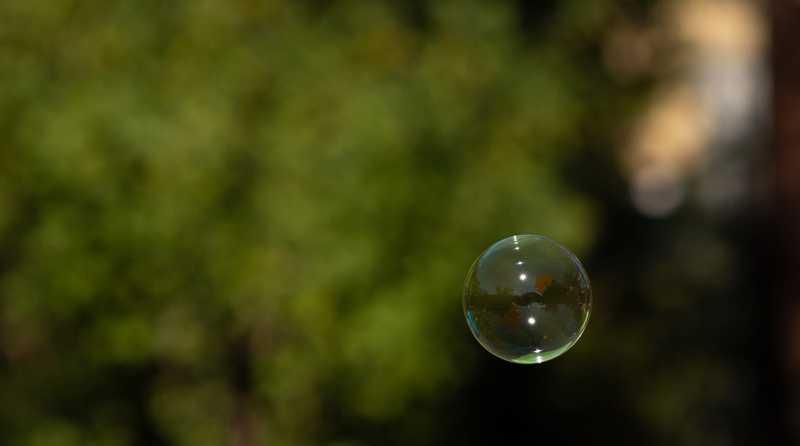 children, 2K, sphere, sky, vulnerability, soap sud, tree, reflection, contemplation, day, ball, colorful, joy, soap bubble, mid-air, happy, airy, play