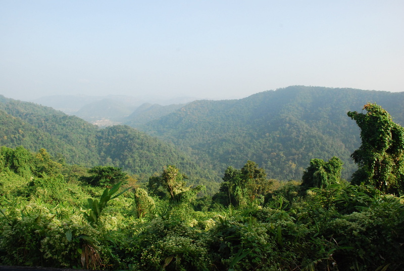 thailand, growth, mountain, rainforest, no people, land, environment, tree, 4K, tropical, sky, scenics - nature, tropics, national park, day, plant, beauty in nature