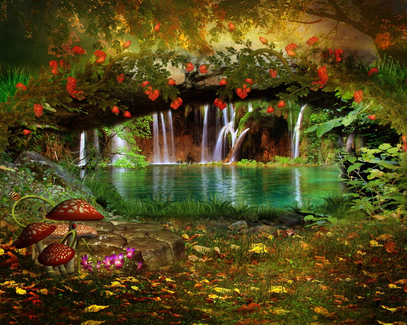 freshness, outdoors, red, 2K, no People, autumn, falling, park - Man Made Space, forest, season, mushrooms, river, scenics - nature, backgrounds