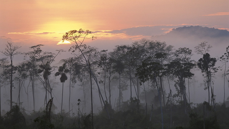 art, peru, dawn, amazon, hd, nature, rivers, 1080P, x