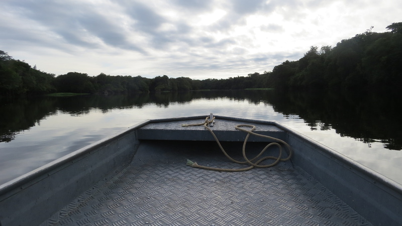 transportation, linda, tranquility, lake, nature, scenics, amazon, nautical Vessel, day, beauty in nature, tropical forest, jungle, beauty, river, amazonia