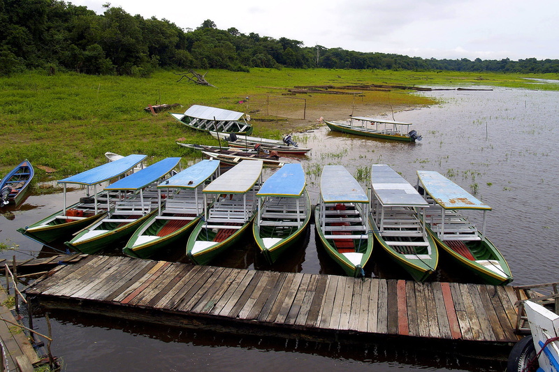 high angle view, moored, side by side, Water, amazon, River, river, day, nature, 1080P, outdoors, landscape, Brazil, Boats, tranquility, tree, in a row