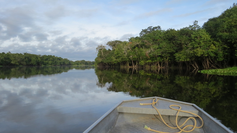 Guaporé, scenics, growth, summer, mode of transportation, day, Boat, tranquil scene, non-urban scene, rowboat, plant, used, beauty in nature, tree, river